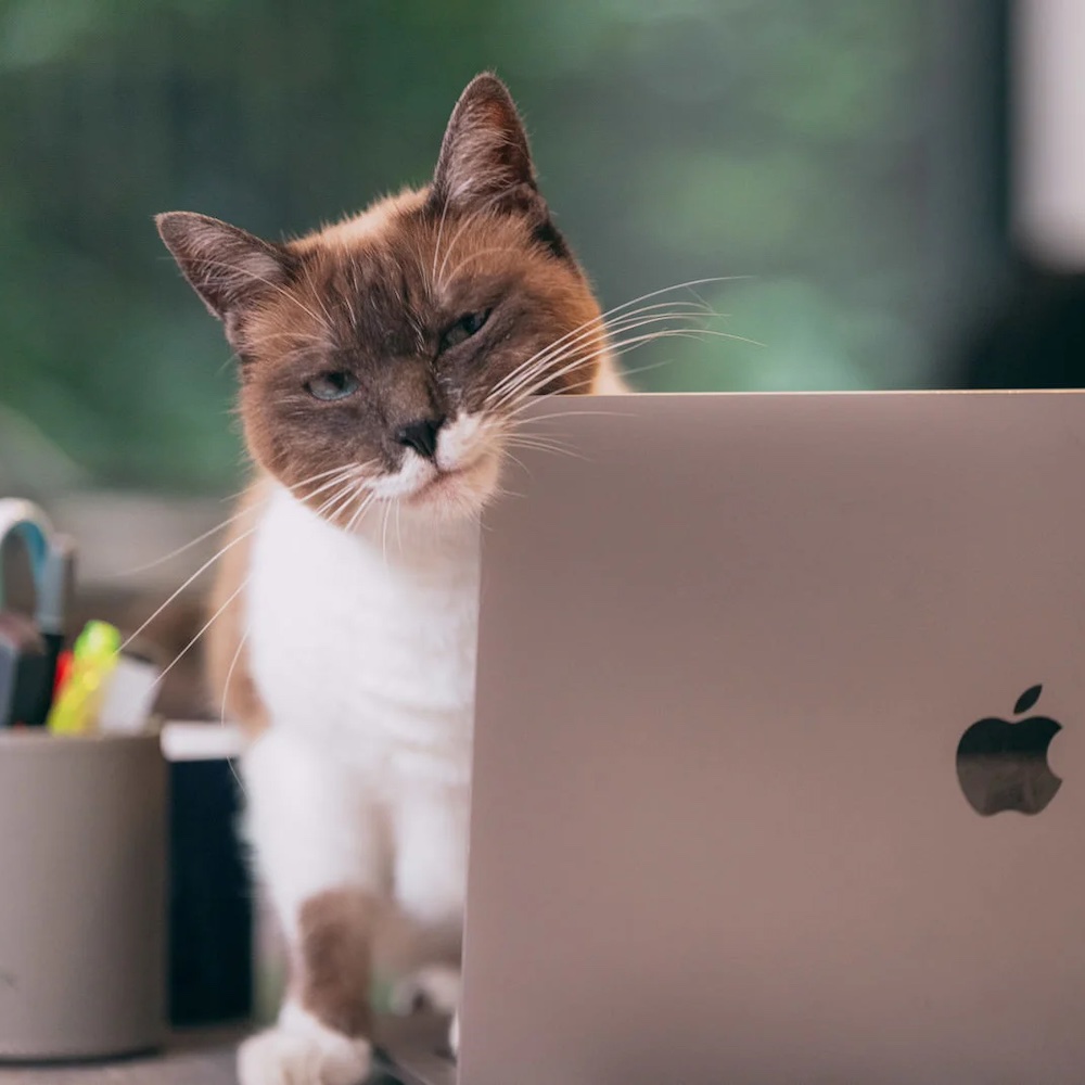 上から目線での指導はしません